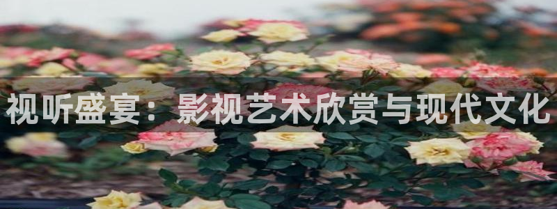 酷客酷客影院：视听盛宴：影视艺术欣赏与现代文化