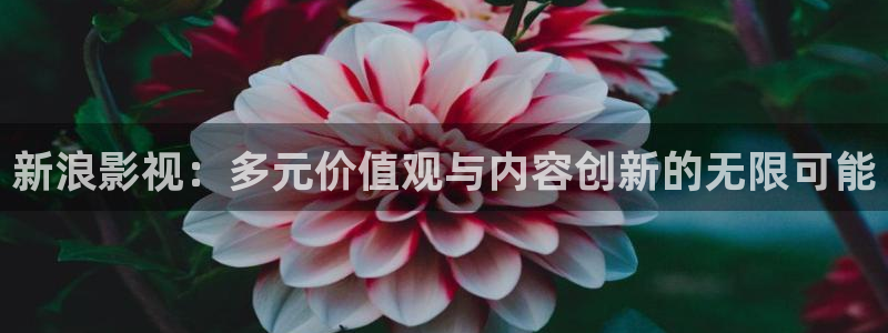 酷客影院酷客免费影院：新浪影视：多元价值观与内容创新的无限可能