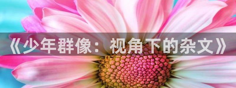 酷客新影视：《少年群像：视角下的杂文》