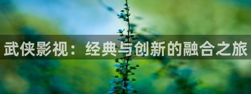 酷客免费影院在线播放：武侠影视：经典与创新的融合之旅